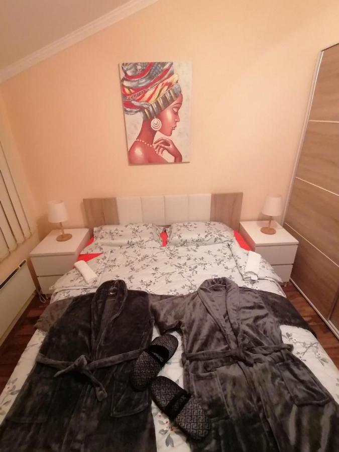 Apartman Dionis Sm Sremska Mitrovica Exterior photo